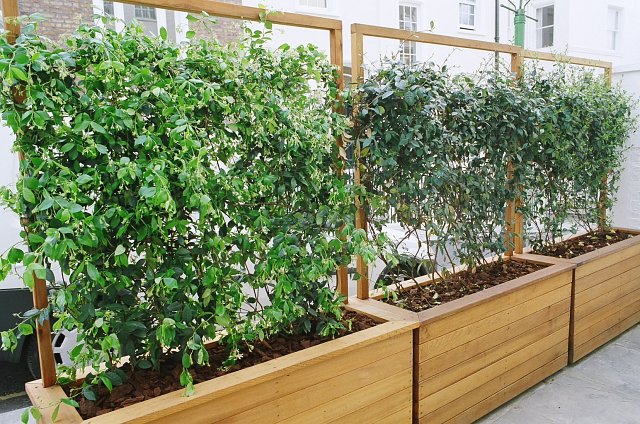 planter 4